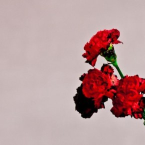 johnlegend8