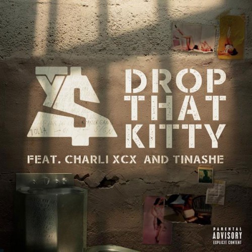 drop-that-kitty