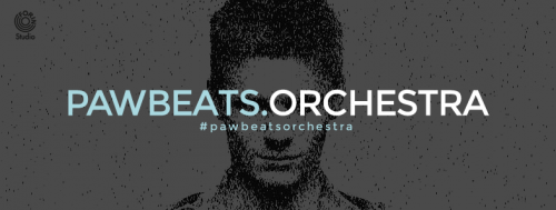 PAWBEATS ORCHESTRA grafika Forin Studio
