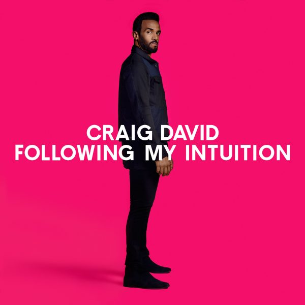 craig_david_following_soulbowlpl