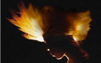 yves tumor kerosene