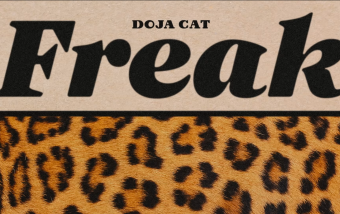 doja cat freak cover