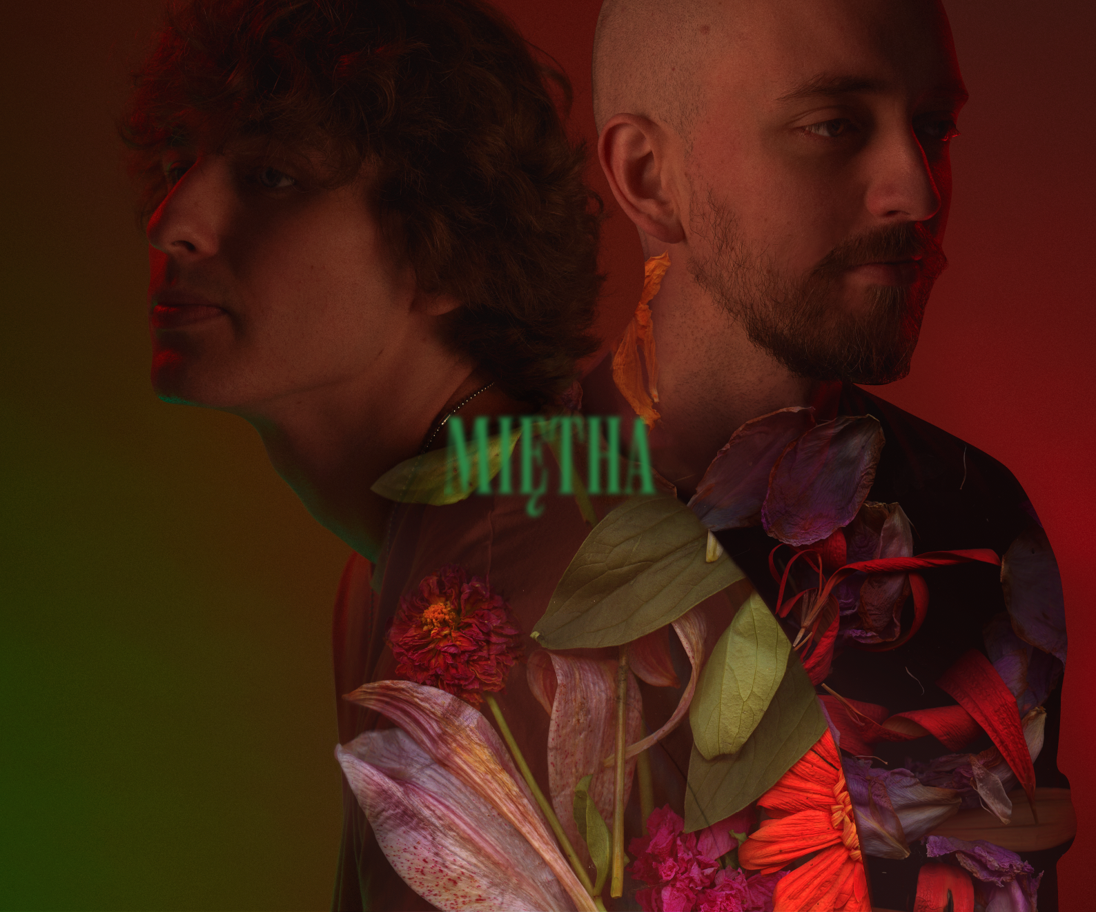Miętha 36,6